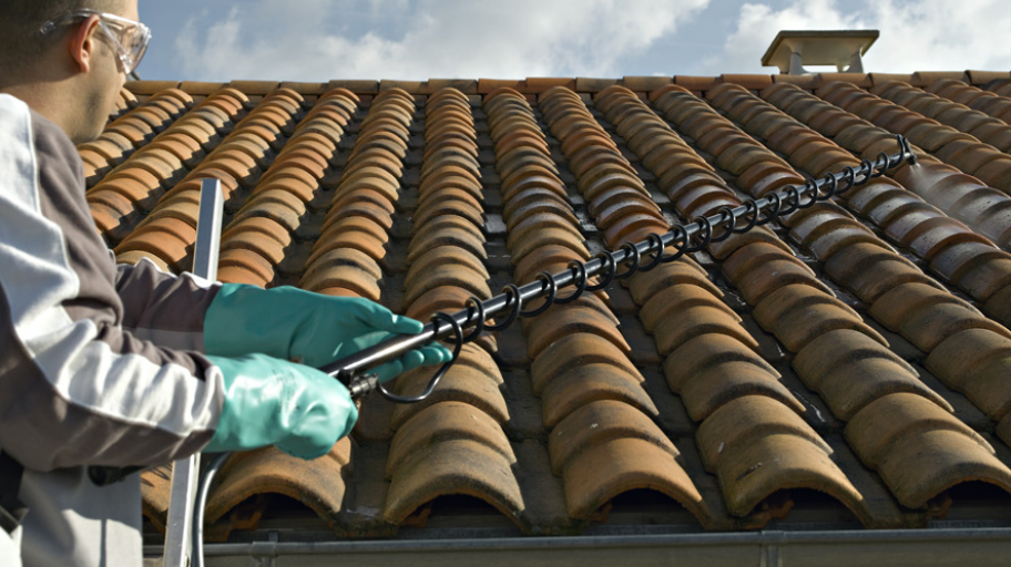 Entretien de toiture
